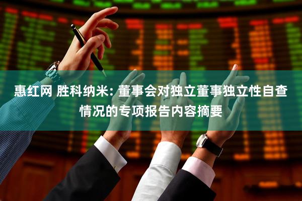 惠红网 胜科纳米: 董事会对独立董事独立性自查情况的专项报告内容摘要