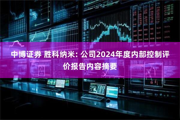 中博证券 胜科纳米: 公司2024年度内部控制评价报告内容摘要