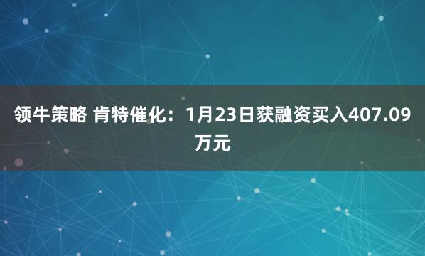 领牛策略 肯特催化：1月23日获融资买入407.09万元
