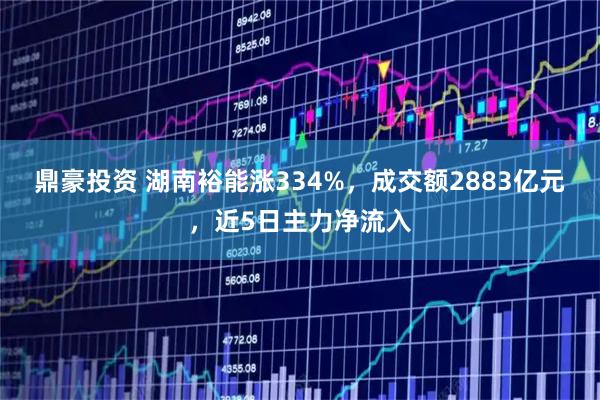 鼎豪投资 湖南裕能涨334%,成交额2883亿元,近5日主力净流入